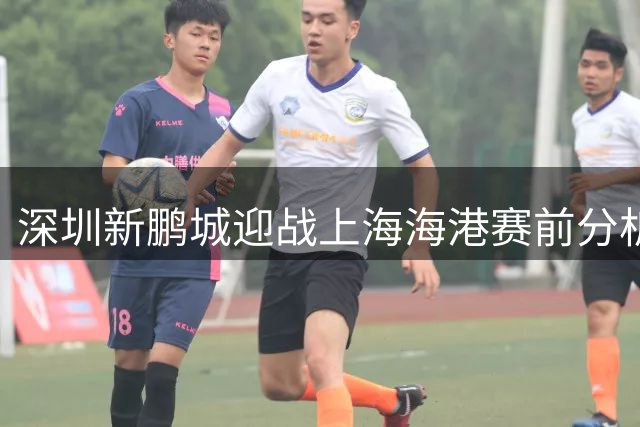 深圳新鹏城迎战上海海港赛前分析